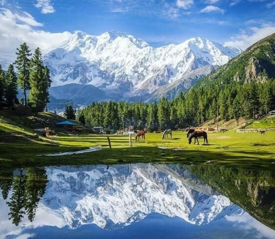 From KlickPin CF Fairy Meadows Pakistan _ Beautiful destinations Safest places to travel Nanga parbatlongbeachd